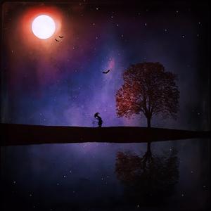 月亮下的影子(月影续)