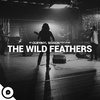 The Wild Feathers - My Truth (OurVinyl Sessions)