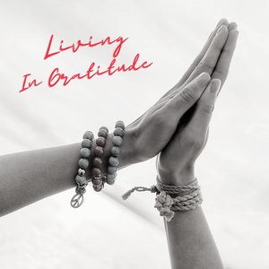 Living In Gratitude