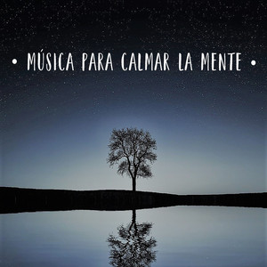 Desconectar la Mente