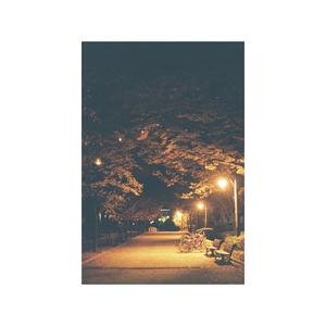 모두가 조금은 따뜻해지는 밤