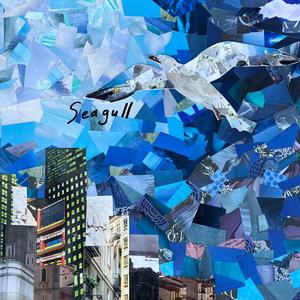 Seagull