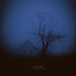 not too late (slowed + reverb)