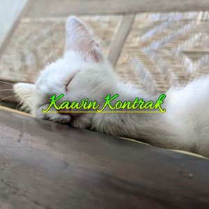 Kawin Kontrak