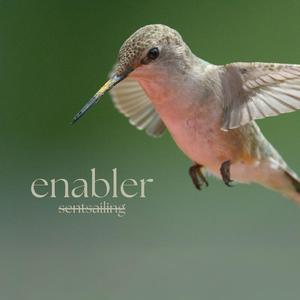 Enabler