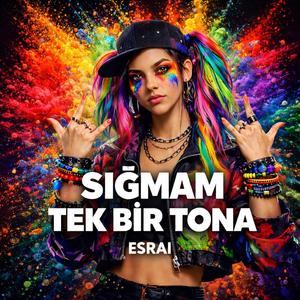 Sığmam tek bir tona