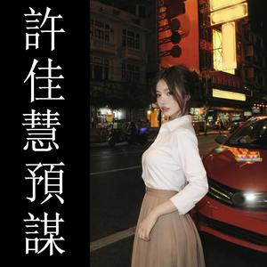 許佳慧 預謀 (remix)