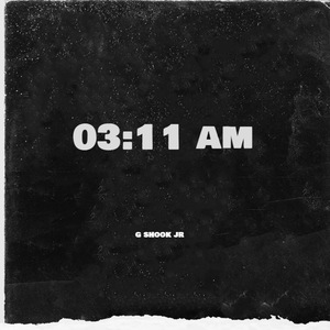 03:11 AM