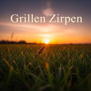 Grillen Zirpen (Special Version)