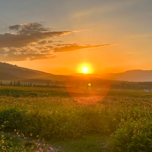 最美的瞬间（钢琴版）