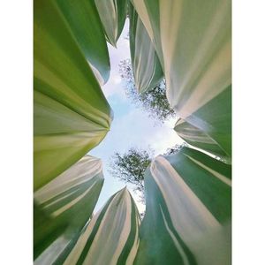 你轻描淡写 我痛到窒息