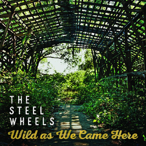 Scrape Me Off the Ceiling