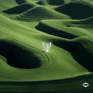 end of the tape(Night) (feat. Loa Kean)