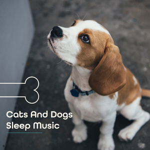 Claming Dog Piano Music