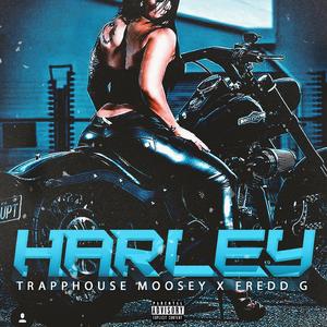 Harley