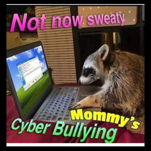 shreds by @superhiro