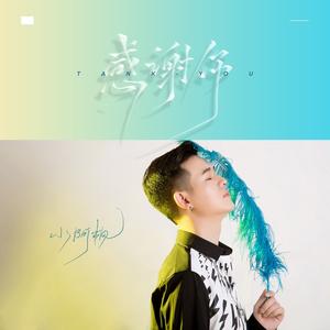 感谢你 (DJ亚明版和声伴奏)