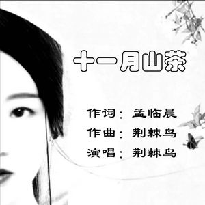十一月山茶