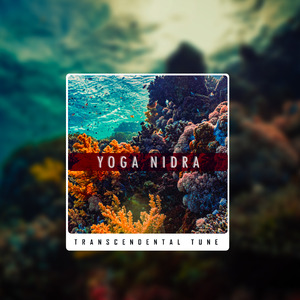 yoga Nidra