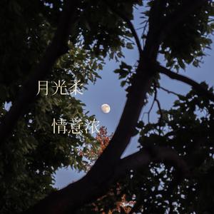 月光