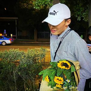 玫瑰（翻自 贰佰）