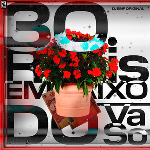 30 Reais Embaixo do Vaso