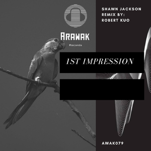 1st Impression (Robert Kuo Remix)