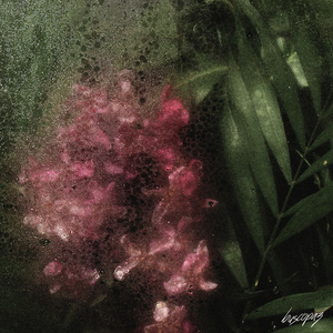 Birdsongs (Interlude)