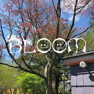 Rainy Day (South Orange Ave)