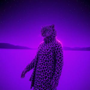 Desert Neon Love