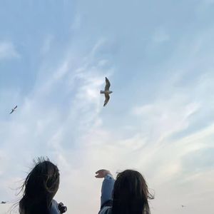 落入梦境的幻想