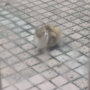 记忆（Prod by Gr33nart Beat)