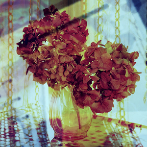 言葉にできない気持ち