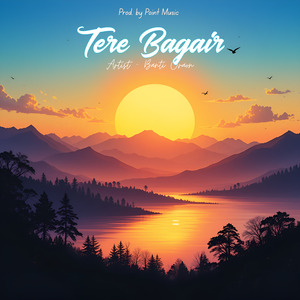 Tere Bagair