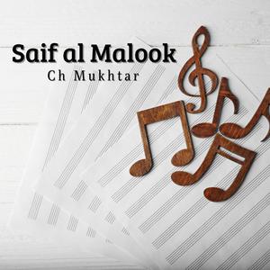 Saif ul Malook Aftab House