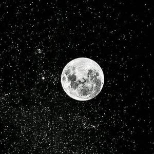 Mr.Bentley（翻自 KnowKnow）