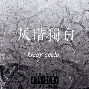 灰阶独白