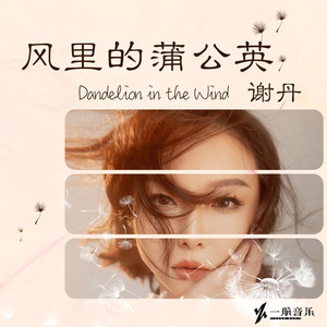 风里的蒲公英