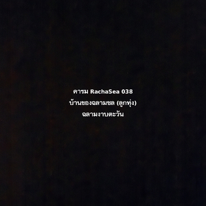 บ้านของฉลามชล (ลูกทุ่ง)