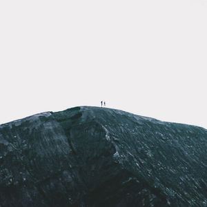 Rise Above the Noise