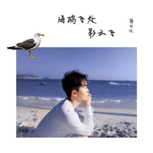 海鸥飞处彩云飞（钢琴纯音乐）