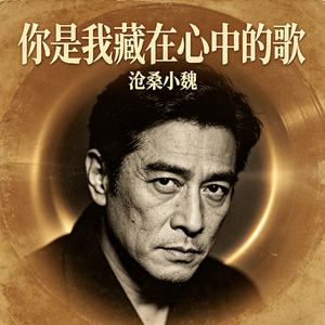 你是我藏在心中的歌