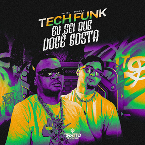 Tech Funk Eu Sei Que Você Gosta