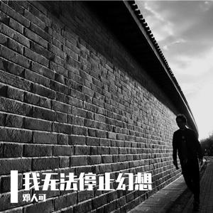 我无法停止幻想