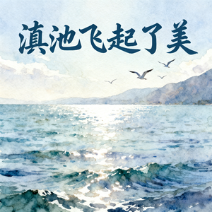 滇池飞起了美(快乐阳光)