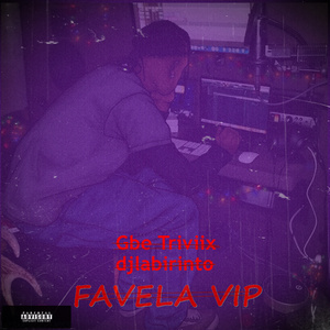 Favela Vip