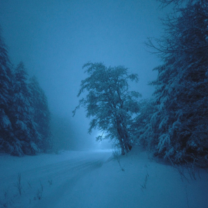 snow veil (slowed)