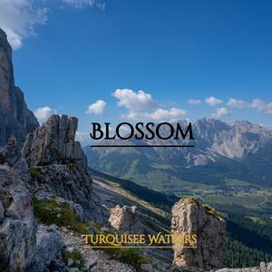 Blossom