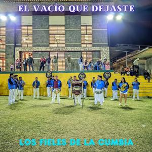 EL VACIO QUE DEJASTE