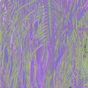 Jumanji (feat. Jepedoh, Mvelo Makhanya & Ms. Cosmo)